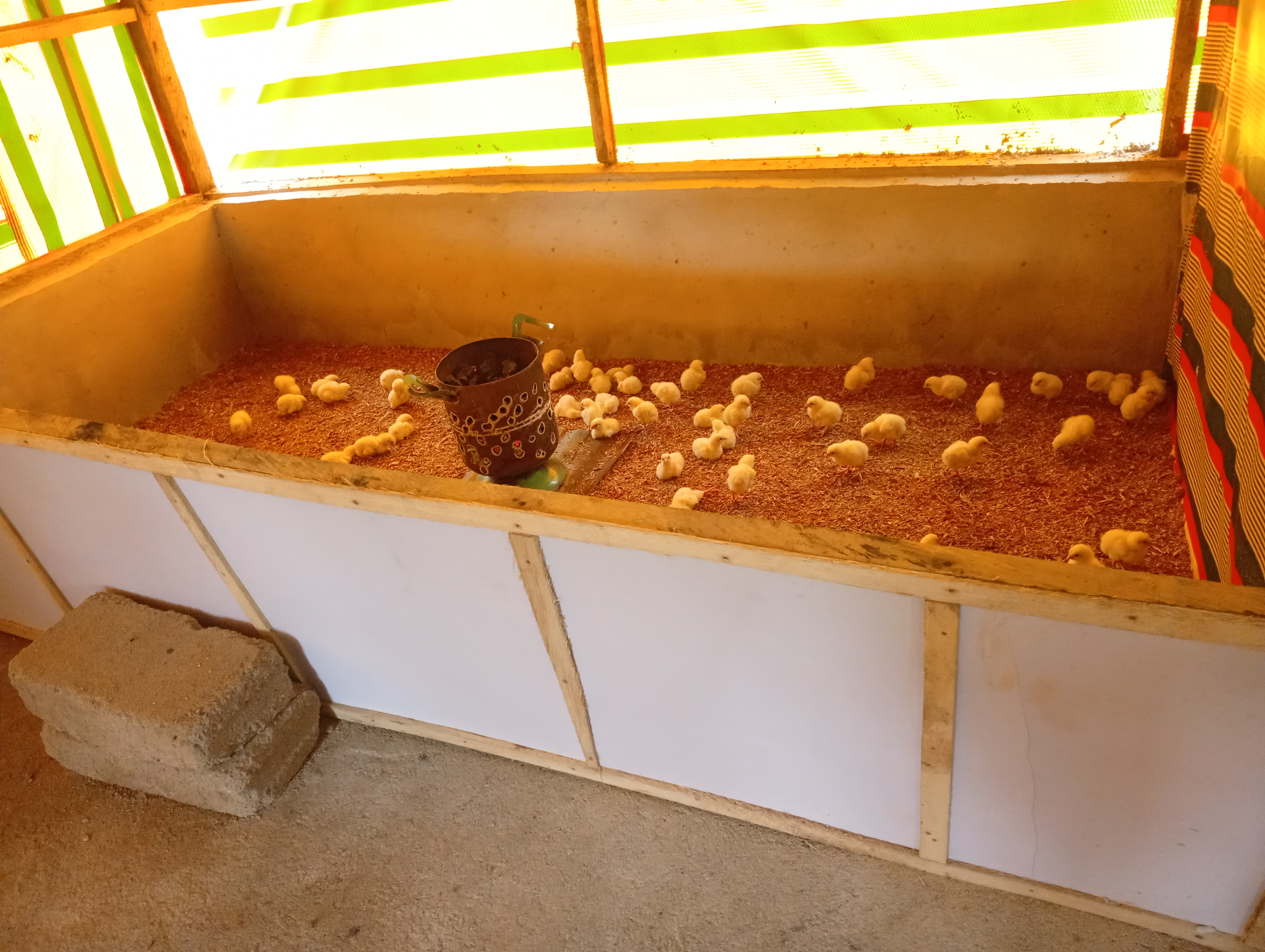 Poultry farming theoretical training by Atem Foundation